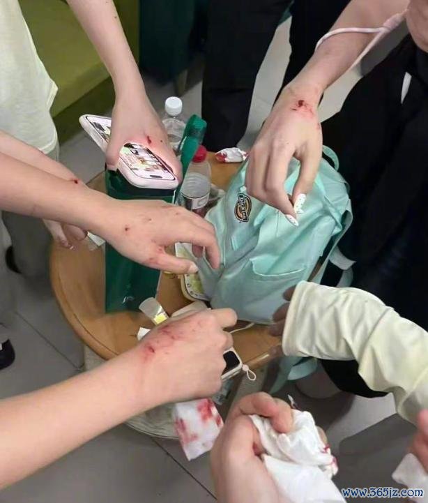 张凌赫线下活动临时取消 安全考量致变动