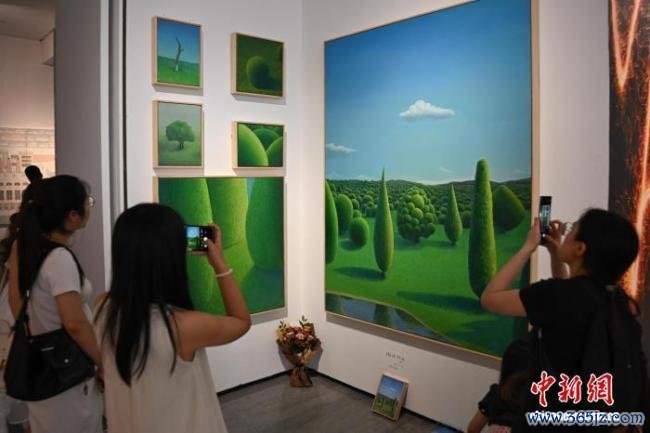 四川好意思术学院毕业作品展招引不雅众 艺术盛宴引慈祥