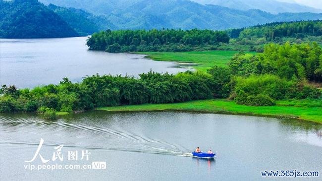 江西樟树：防守一泓碧水