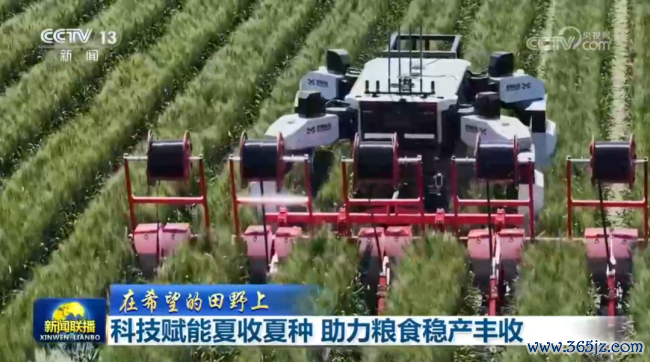 科技赋能夏收夏种 助力食粮稳产丰充 聪惠农机显本领