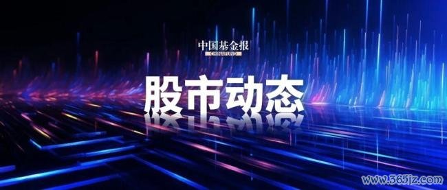 CPO办法股全线拉升