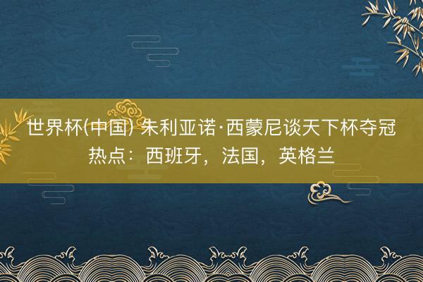 世界杯(中国) 朱利亚诺·西蒙尼谈天下杯夺冠热点:西班牙,法国,英格兰