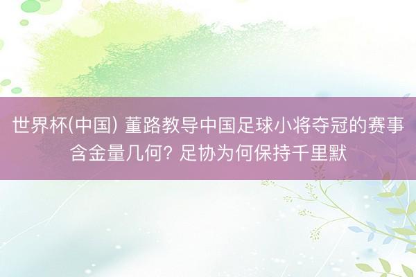 世界杯(中国) 董路教导中国足球小将夺冠的赛事含金量几何? 足协为何保持千里默