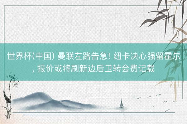 世界杯(中国) 曼联左路告急! 纽卡决心强留霍尔， 报价或将刷新边后卫转会费记载