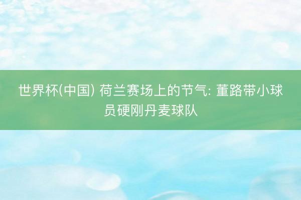 世界杯(中国) 荷兰赛场上的节气: 董路带小球员硬刚丹麦球队