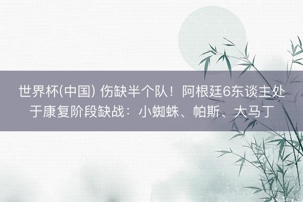 世界杯(中国) 伤缺半个队！阿根廷6东谈主处于康复阶段缺战：小蜘蛛、帕斯、大马丁