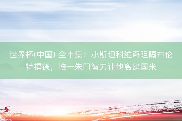 世界杯(中国) 全市集:小斯坦科维奇阻隔布伦特福德,惟一朱门智力让他离建国米