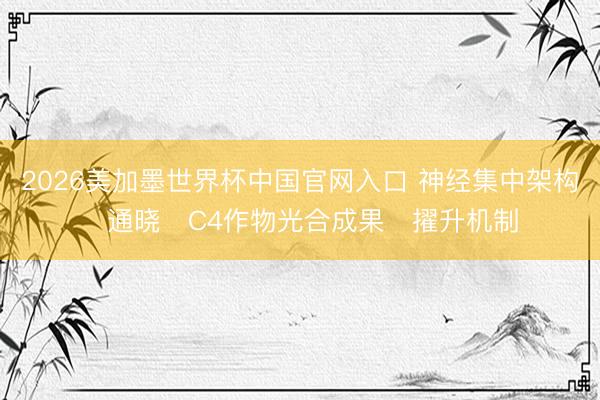2026美加墨世界杯中国官网入口 神经集中架构‌通晓‌C4作物光合成果‌擢升机制‌