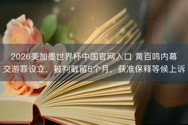 2026美加墨世界杯中国官网入口 黄百鸣内幕交游罪设立，被判截留5个月，获准保释等候上诉