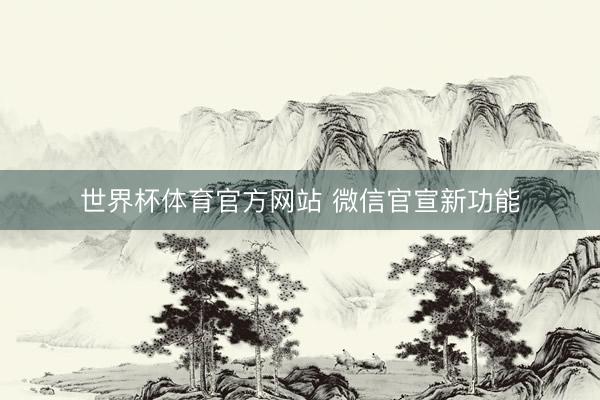 世界杯体育官方网站 微信官宣新功能