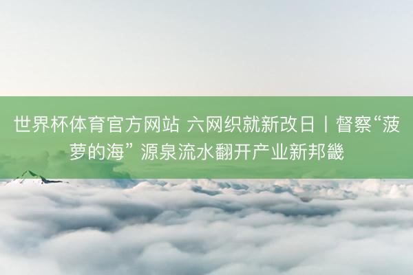 世界杯体育官方网站 六网织就新改日丨督察“菠萝的海” 源泉流水翻开产业新邦畿