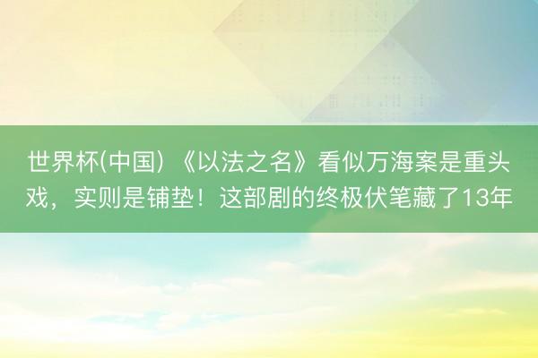世界杯(中国) 《以法之名》看似万海案是重头戏，实则是铺垫！这部剧的终极伏笔藏了13年