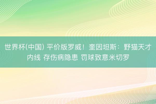世界杯(中国) 平价版罗威!奎因坦斯:野猫天才内线 存伤病隐患 罚球致意米切罗