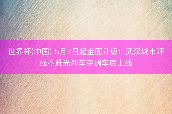 世界杯(中国) 5月7日起全面升级!武汉城市环线不雅光列车空调车底上线