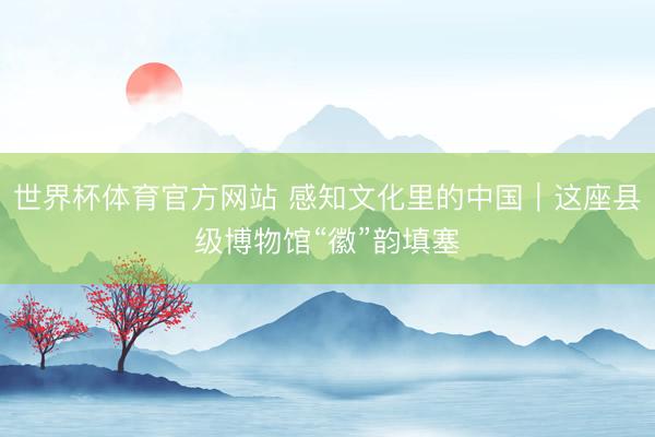 世界杯体育官方网站 感知文化里的中国｜这座县级博物馆“徽”韵填塞