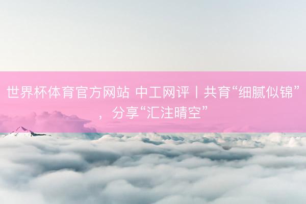 世界杯体育官方网站 中工网评丨共育“细腻似锦”，分享“汇注晴空”