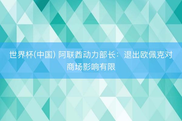世界杯(中国) 阿联酋动力部长:退出欧佩克对商场影响有限