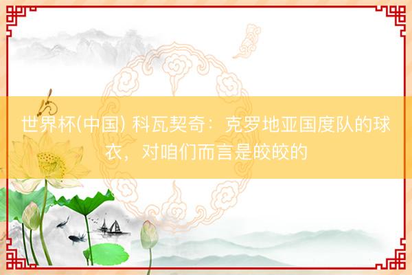 世界杯(中国) 科瓦契奇:克罗地亚国度队的球衣,对咱们而言是皎皎的