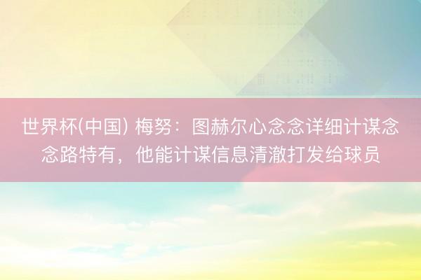 世界杯(中国) 梅努:图赫尔心念念详细计谋念念路特有,他能计谋信息清澈打发给球员